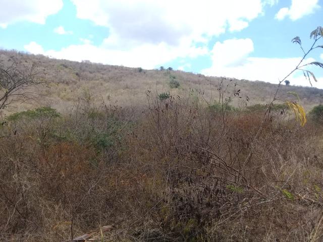 Pombos-Vend. 480 mil reais-Tem 120 Hect. Fazenda Completa,Água,Pastos, e mais - Foto 15