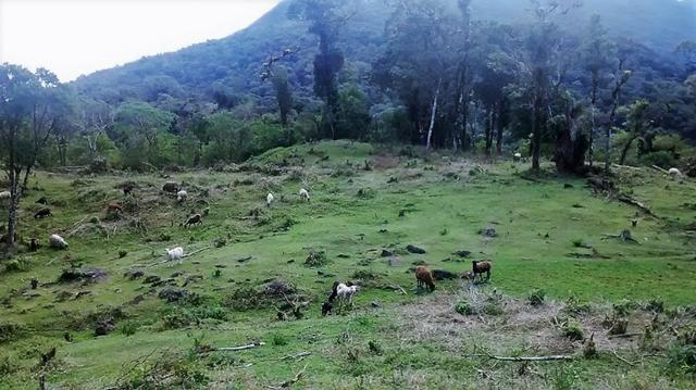 Terrenos próximo a Represa - Foto 10
