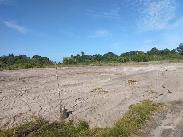 Lotes Taipu de Fora - Península de Maraú - Bahia - Foto 2