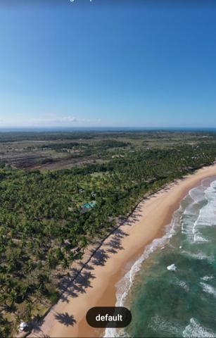 Lotes Taipu de Fora - Península de Maraú - Bahia - Foto 9