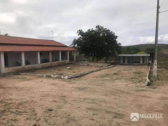 Excelente granja em são josé da mata (10 hectares) - Foto 5