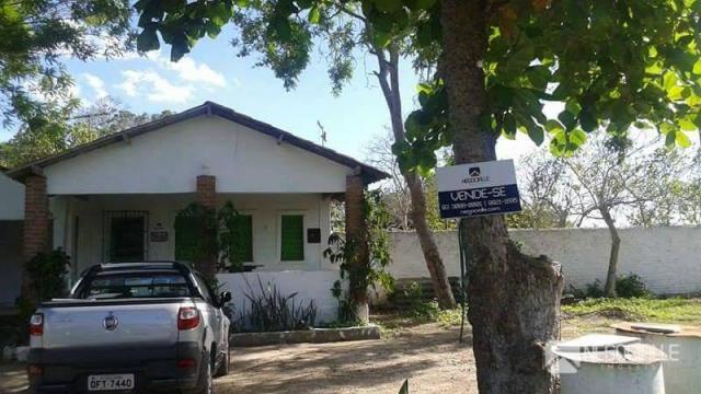 Chácara rural à venda. - Foto 5