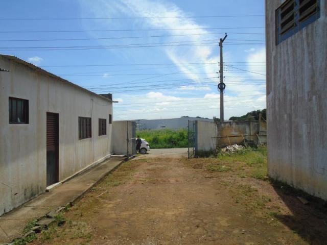 Galpão para alugar, 450 m² por r$ 3.700/mês - jardim pampulha - aparecida de goiânia/go - Foto 11