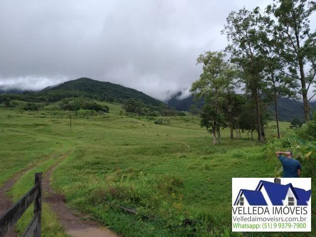 Velleda of. Fazenda 189 hectare, especial p/ gado, açudes, casa , maquiné - Foto 13
