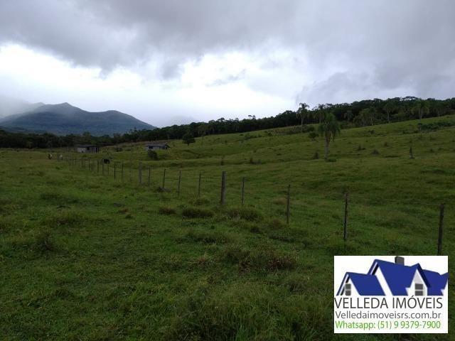 Velleda of. Fazenda 189 hectare, especial p/ gado, açudes, casa , maquiné - Foto 5