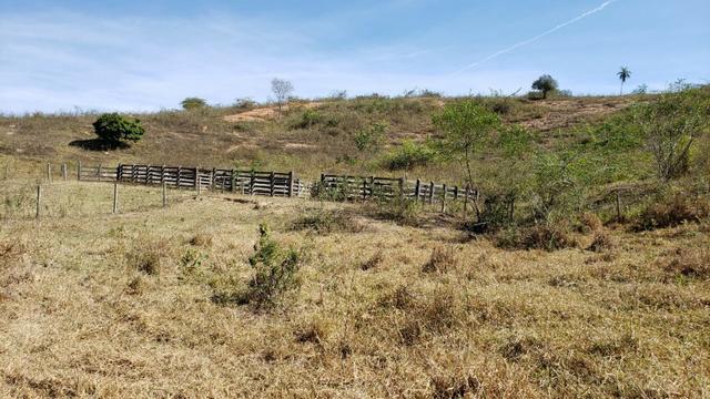 Fazenda 42 Alqueires em Campanário/MG, região de Governador Valadares/MG - Foto 3