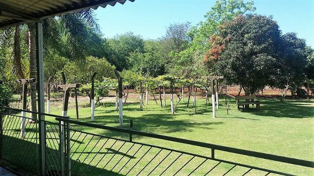 Chácara 10.000 m² próximo ao Icle (Porto dourado) Foz do Iguaçu - Foto 10