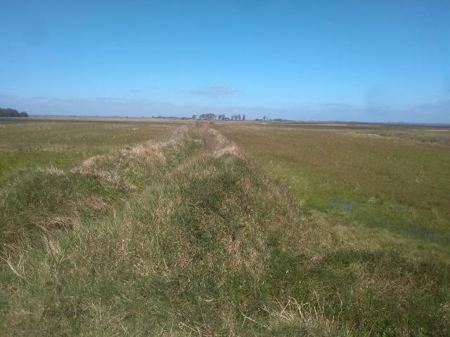 Área de terra 154 ha em Mostardas-Rs - Foto 9