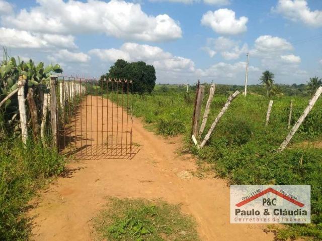 Ótima propriedade em Feira Nova, com 4 hectares - Foto 5
