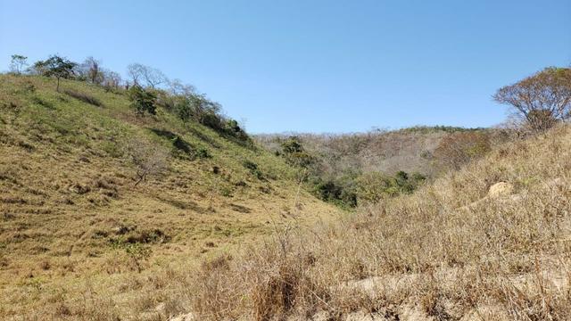 Fazenda 42 Alqueires em Campanário/MG, região de Governador Valadares/MG - Foto 12