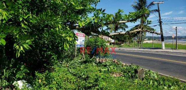 Terreno à venda, 600 m² por r$ 190.000 - malhado - ilhéus/ba - Foto 4
