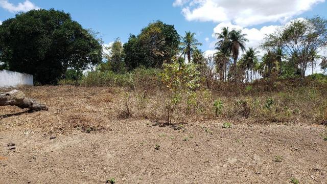 Terreno à venda em Novo, Carpina cod:TE09XW - Foto 14