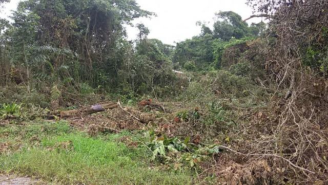 Terreno no Balneário Cambijú - Itapoá - Foto 2