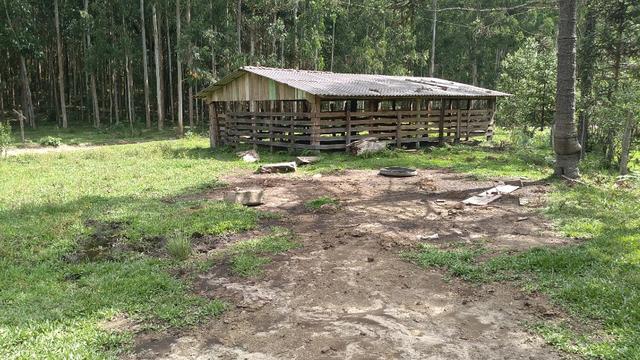 Fazenda Terreno Rural Sitio Chácara Gado - Foto 2