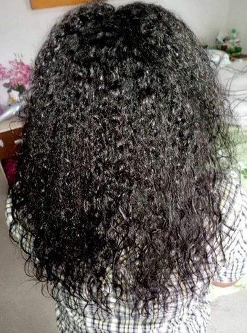 Selagem Gringa - Foto 2