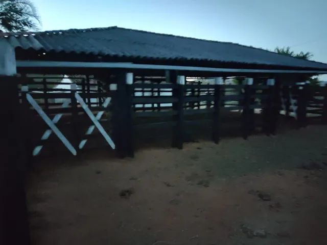 Fazenda em Rui Barbosa  - Foto 4