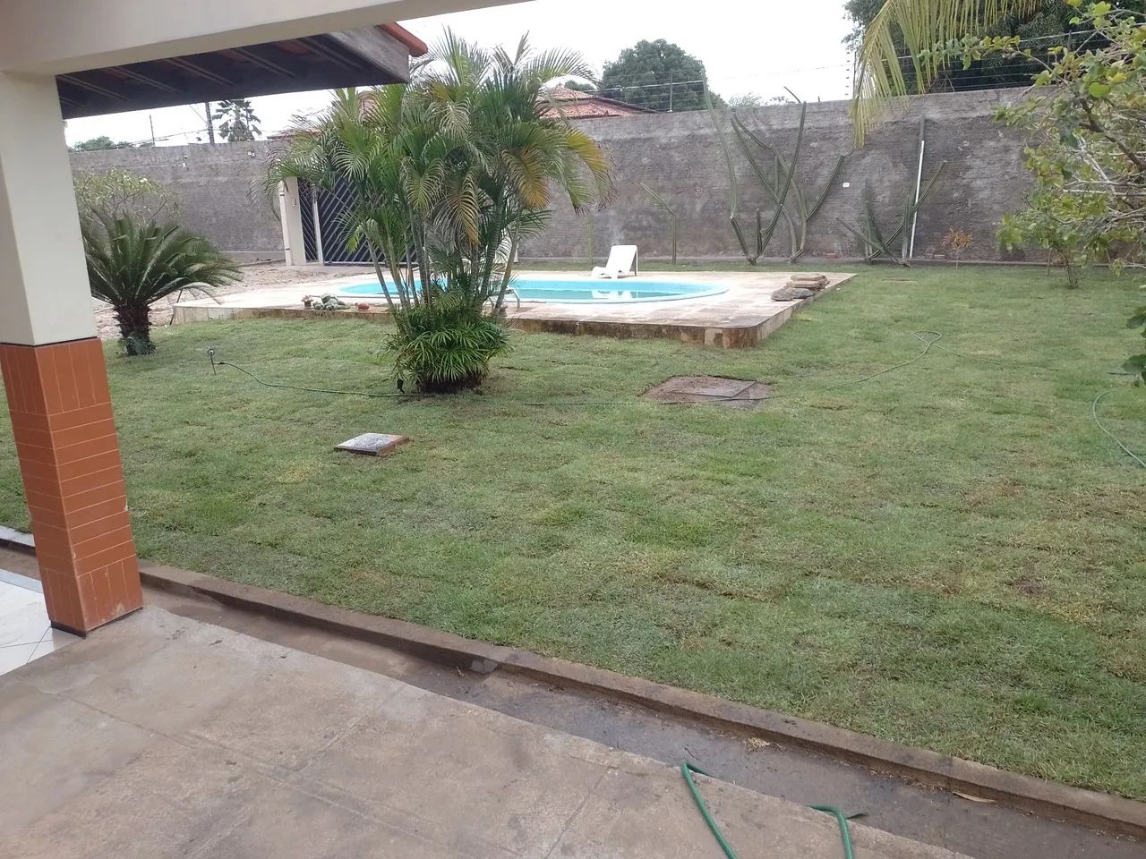 Grama esmeralda  - Foto 5