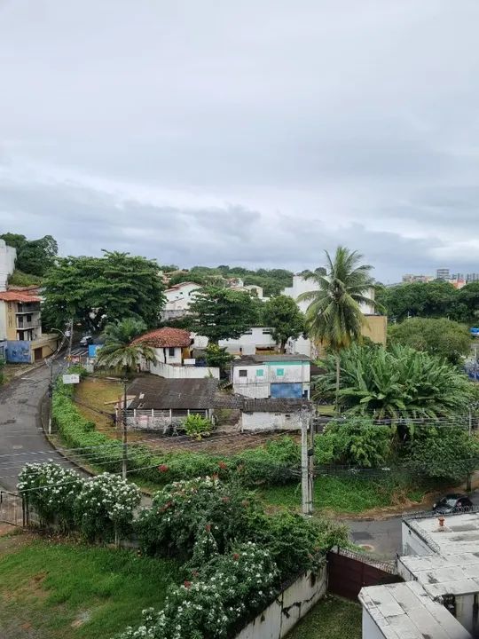 foto - Salvador - Federação