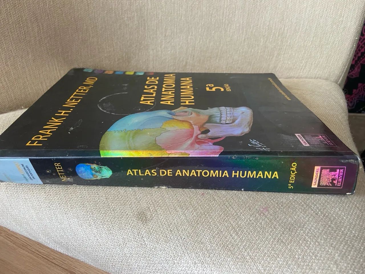 Atlas de Anatomia Humana Netter 5ª Edição