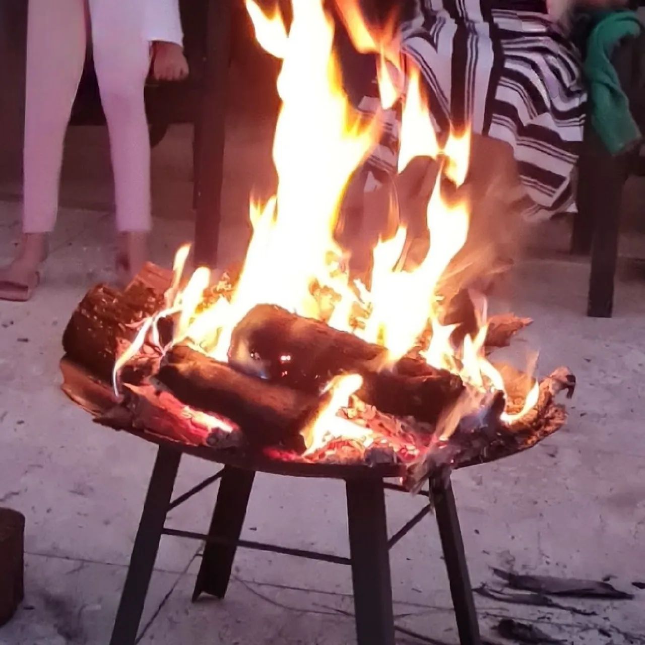 Lenha Eucalipto para Churrasco, pizza, parrila - Foto 4