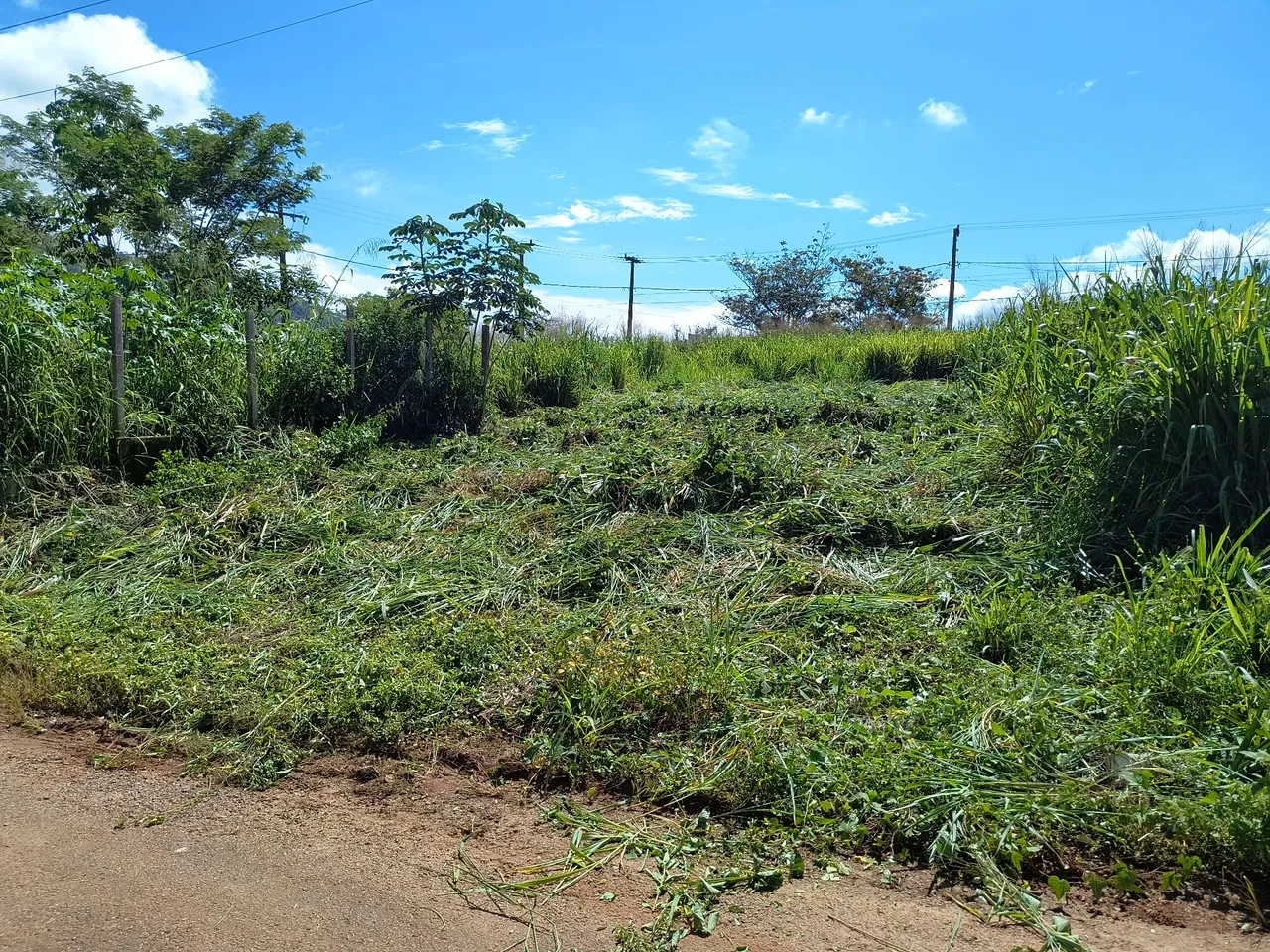 Lote na cidade jardim 