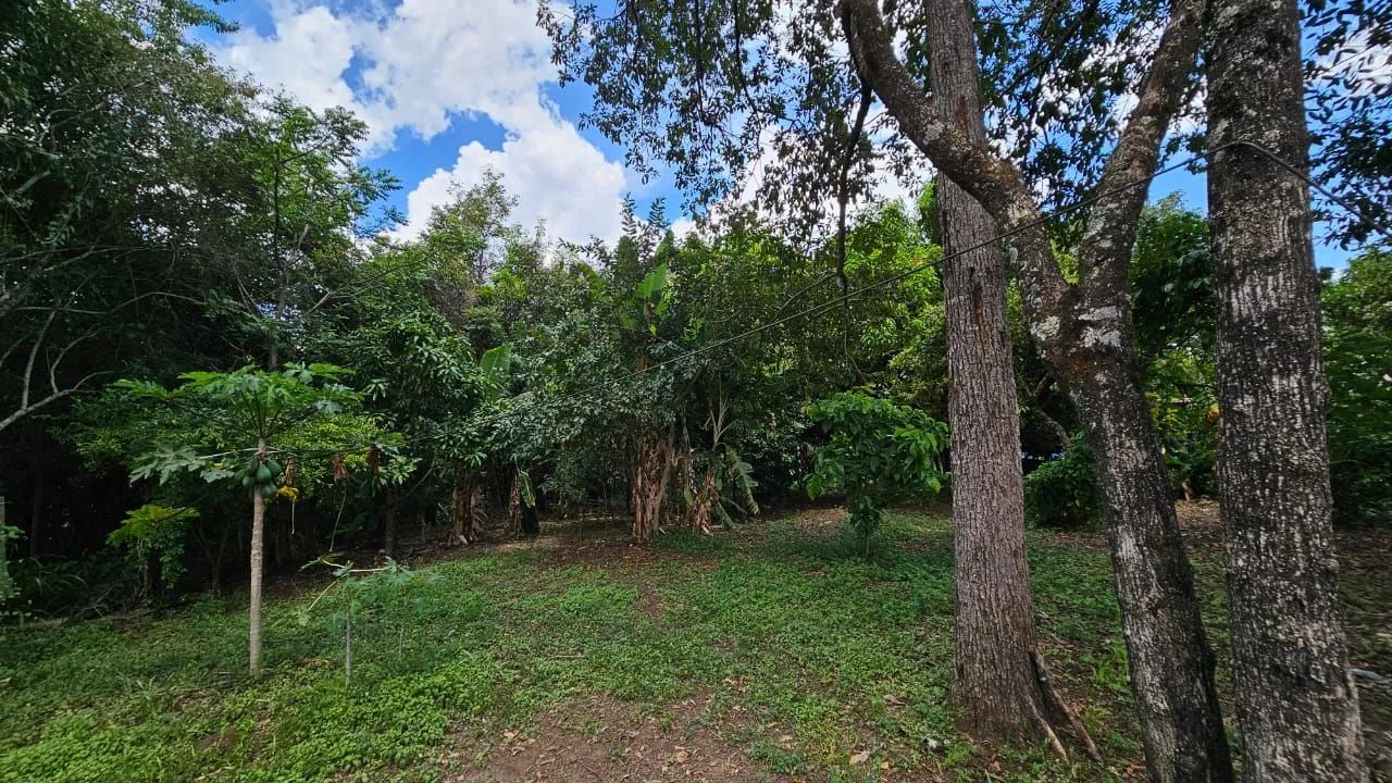  chácara de 3700m² em Hidrolândia na divisa com Aragoiania  - Foto 2