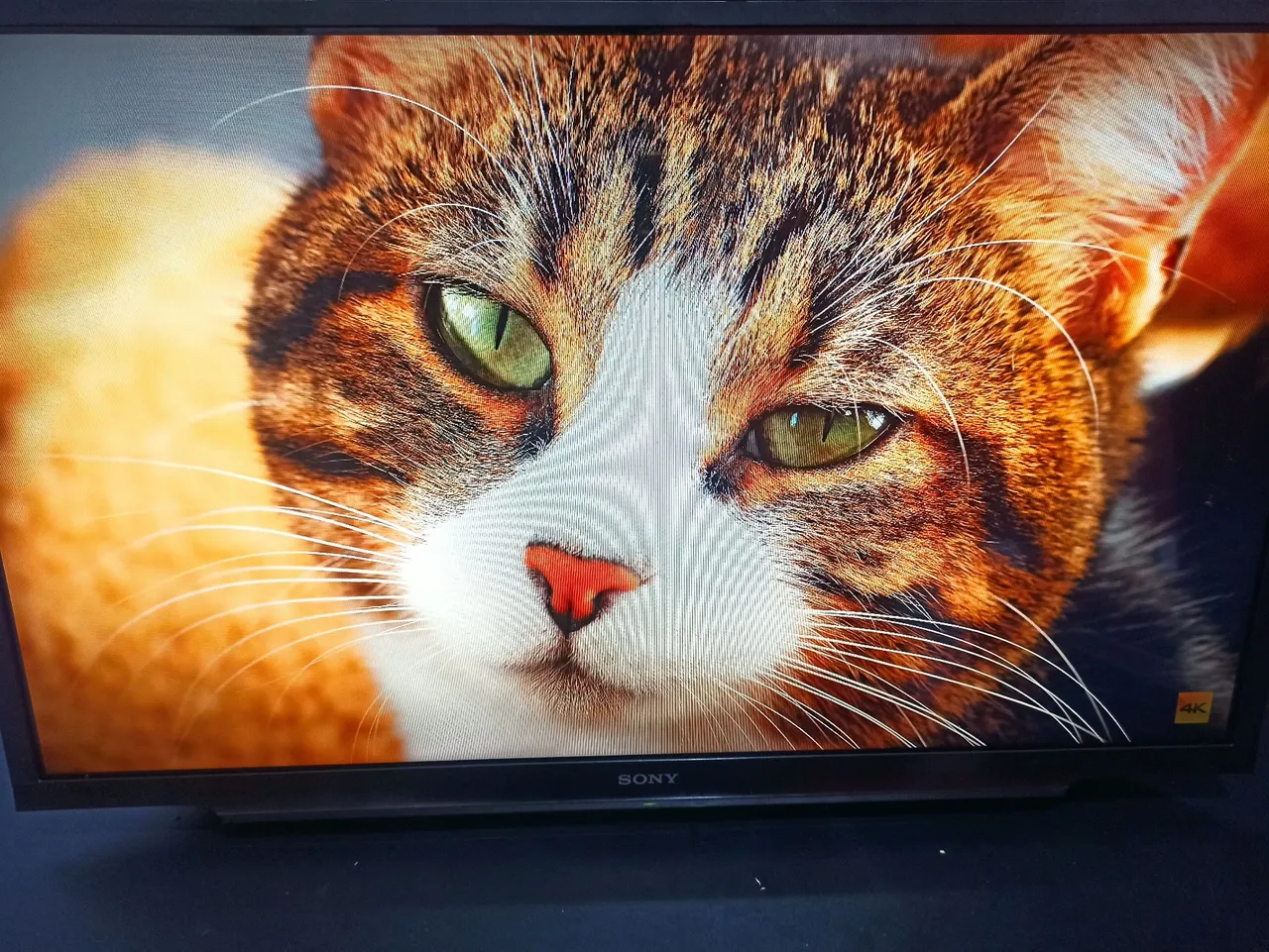 Smart tv sony 32 pol com wifi