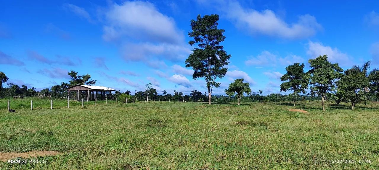 Vende se fazenda, em Porto acre com 110hec - Foto 2
