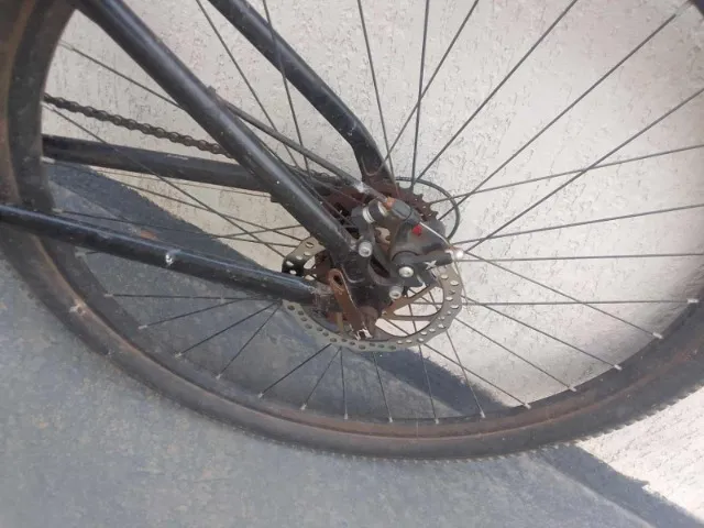 Bick aro 29