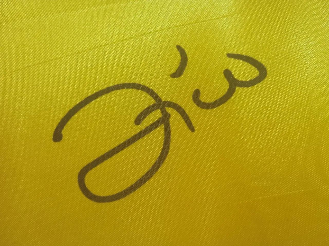 Camisa Brasil Copa Mundo 1982 #10 Zico Autografada Certificada - Foto 2