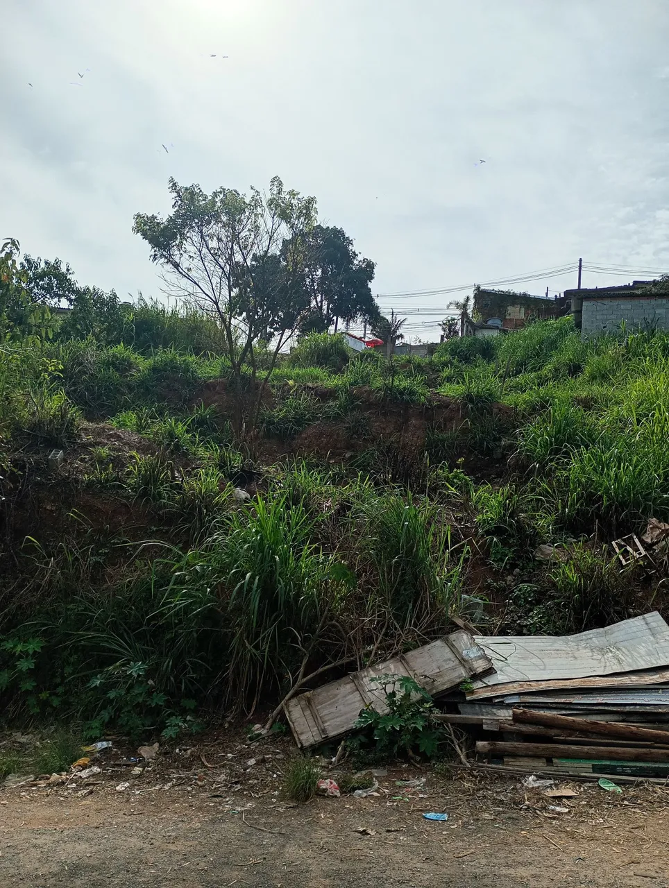 Terreno em terra preta 12x40