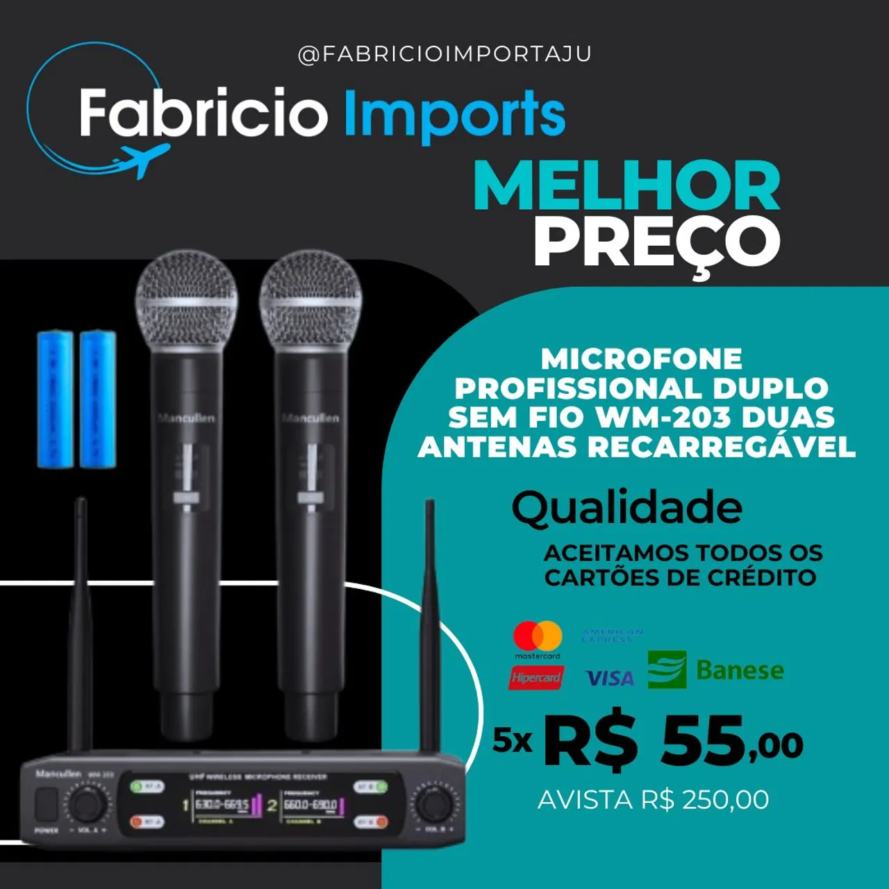 Microfone Profissional Duplo Sem Fio WM-203