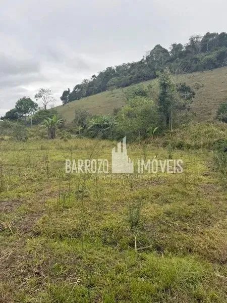 Barrozo Imóveis - Sítio a venda com 2.02 alq (9.8 ha) com córrego, nascente, pasto. - Foto 11