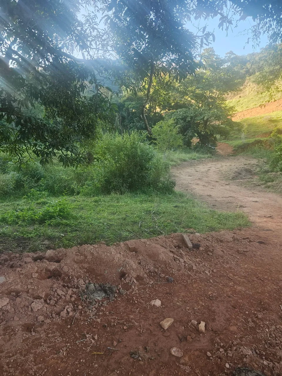 Área 2000 metros quadrados sendo 20x100
