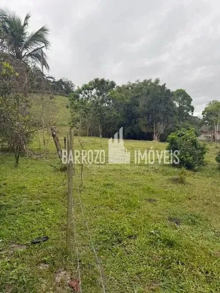 Barrozo Imóveis - Sítio a venda com 2.02 alq (9.8 ha) com córrego, nascente, pasto. - Foto 7