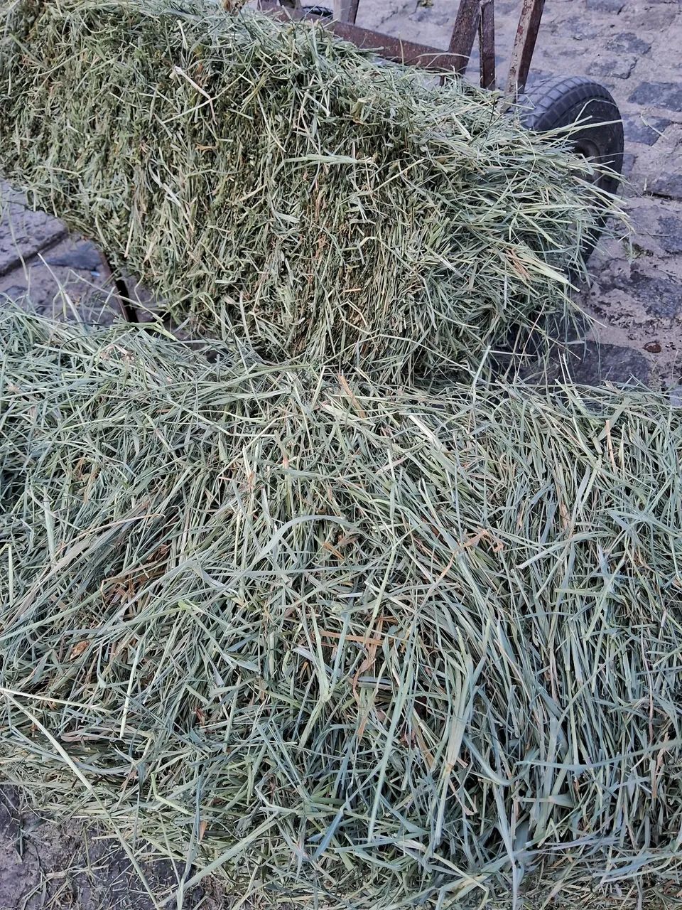 FENO 2 kg  ( leia a descrição do anúncio)