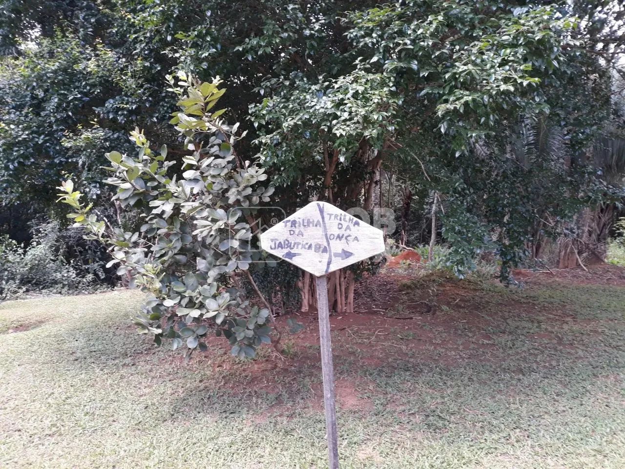 Chácara formada, excelente oportunidade, margem Rio Maranhão, pomar, em Planaltina DF. - Foto 8
