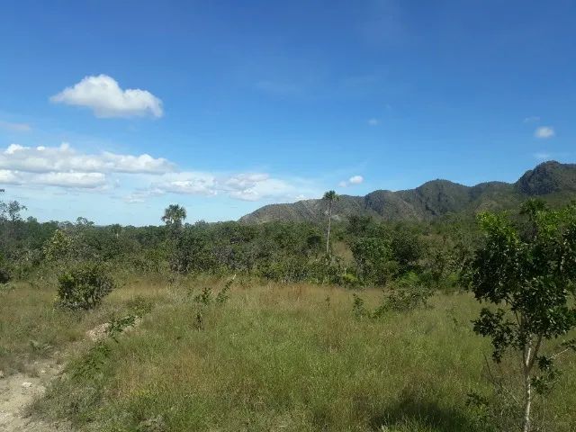 Fazenda de 580 hectares em Almas- Tocantins - Foto 4
