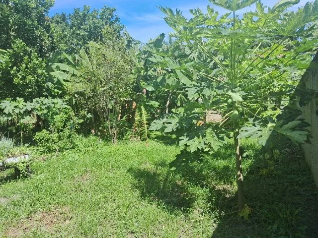 Vendo Terreno em Boa Esperança - Seropedica - Foto 5