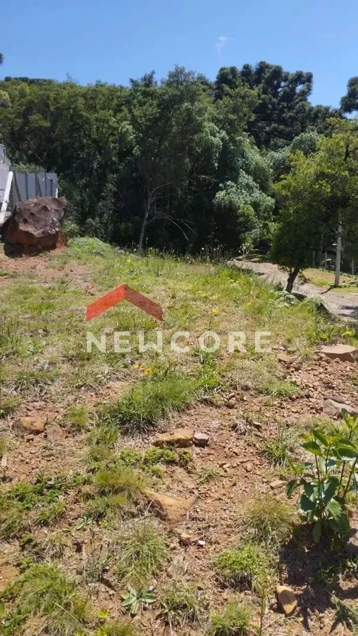 Lote em Rua E - Salto Eletra - São Francisco de Paula/RS - Foto 3