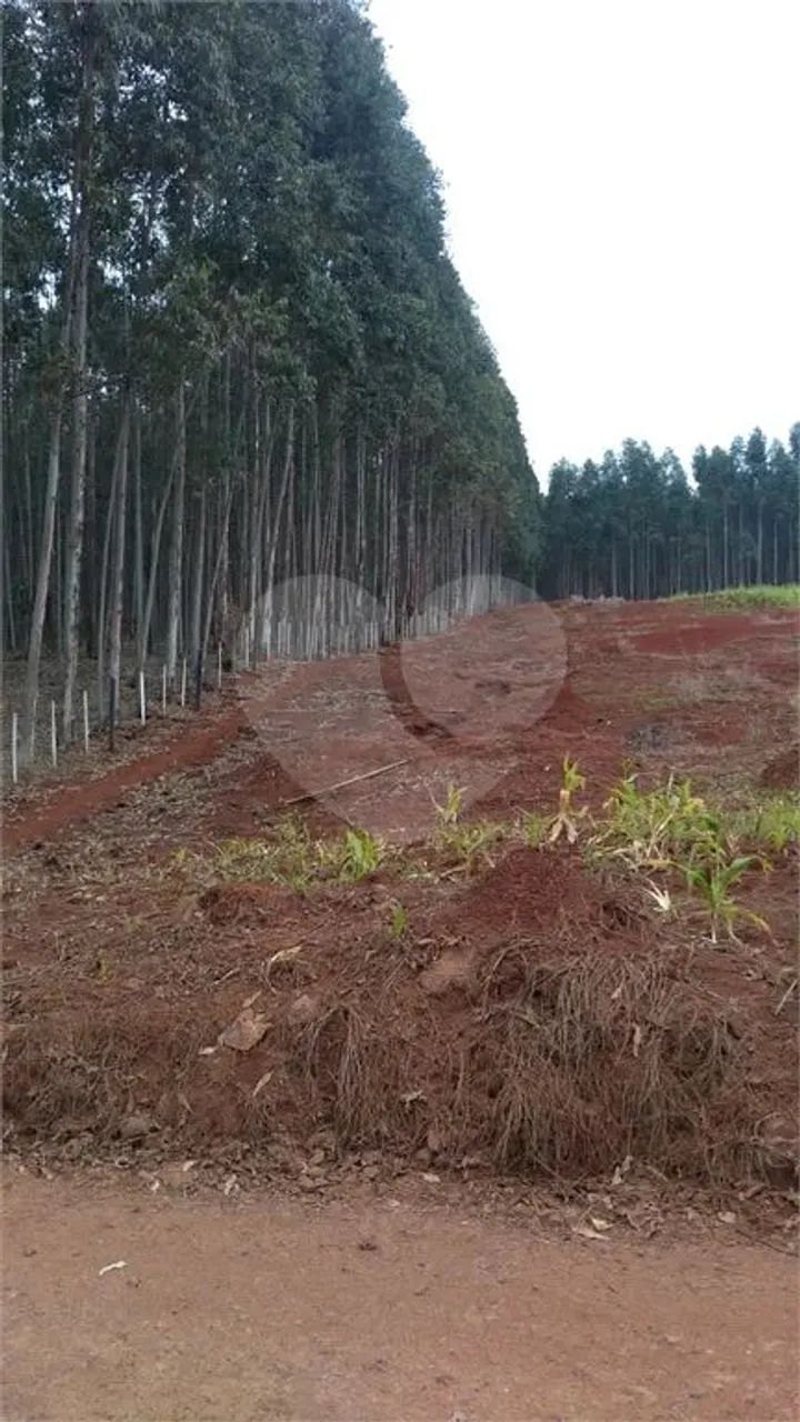 Terreno à venda em Centro - PR - Foto 5