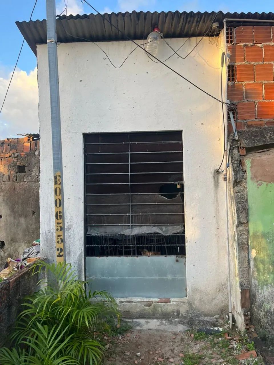 Foto - Paulista - Maranguape I