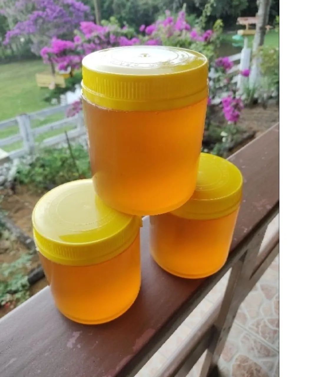 Mel puro e natural em potes diretamente da flor da laranja mel de cerro azul 