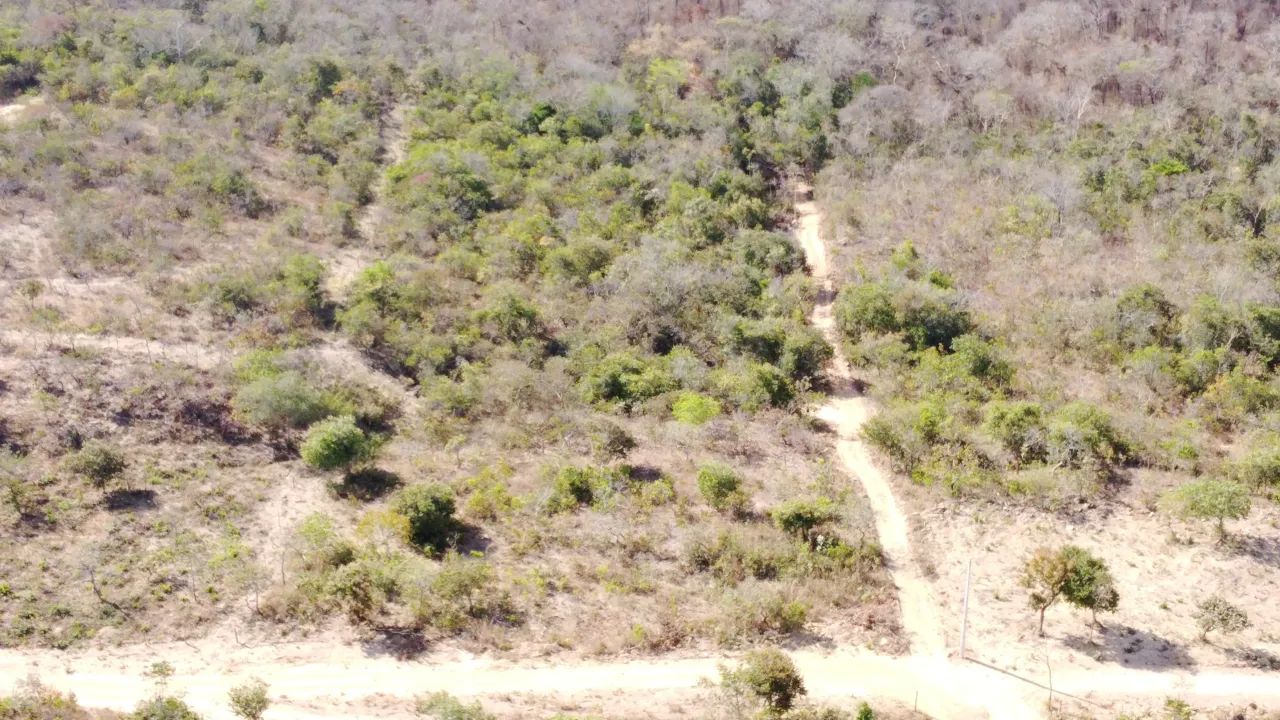 } Padre Bernanrdo 20.000 metros = - Foto 13