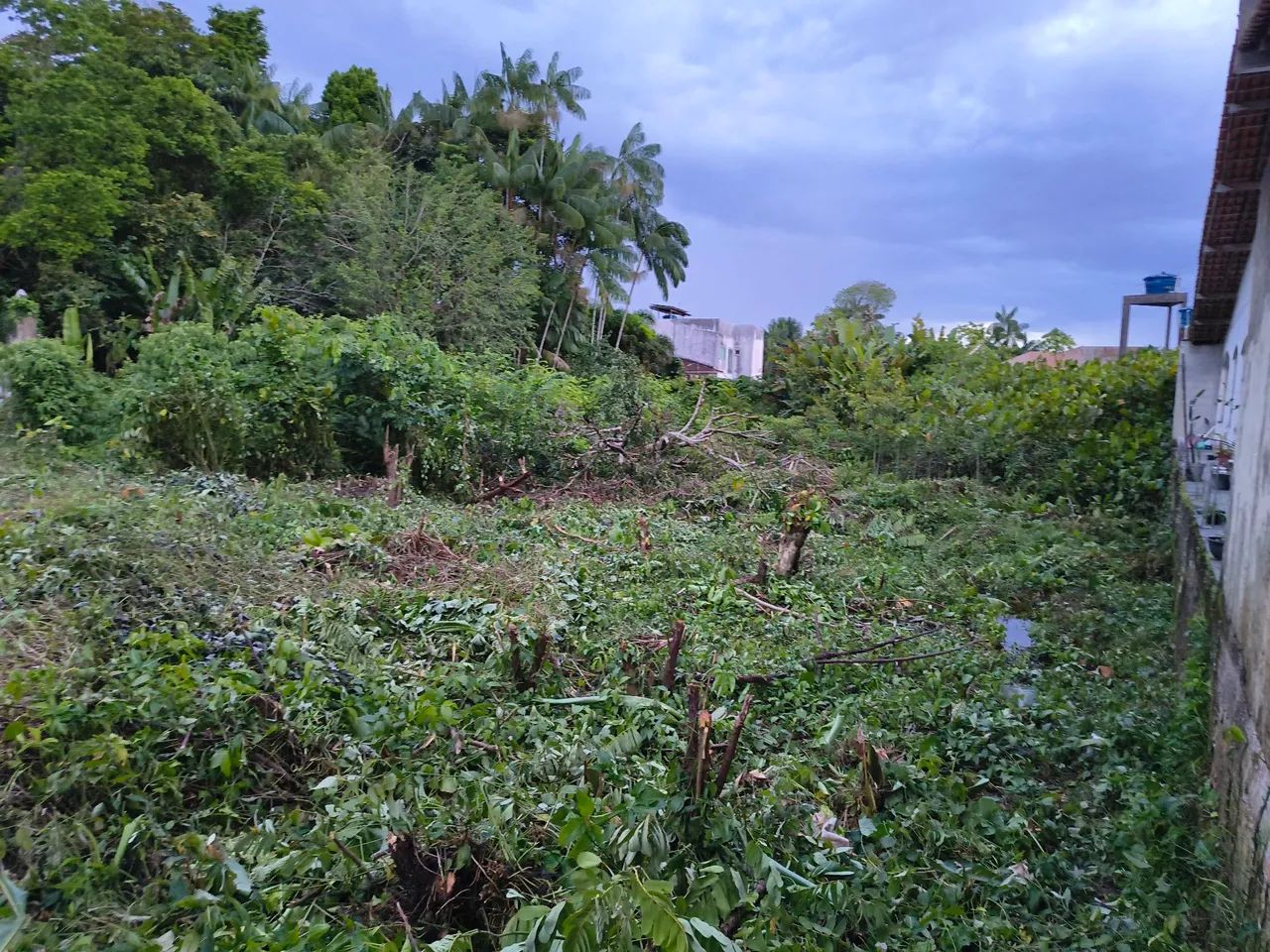 Condomínio Amazon Garden - Foto 3