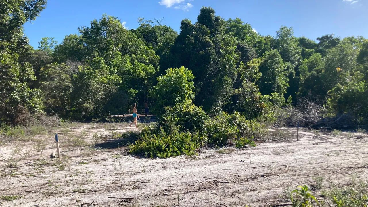 Terreno plano no Sargi  - Foto 4