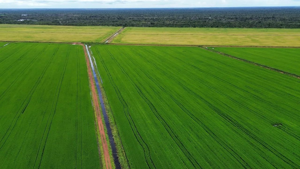 Fazenda no Tocantins 12.000 hectares  - Foto 4