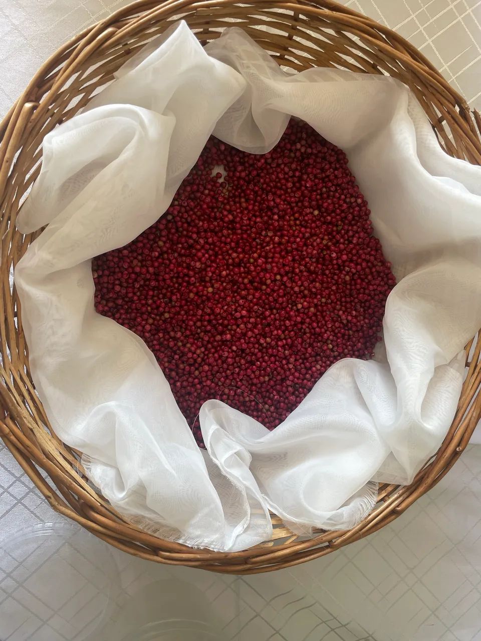 Vendo pimenta rosa de aroeira direto da safra. - Foto 2