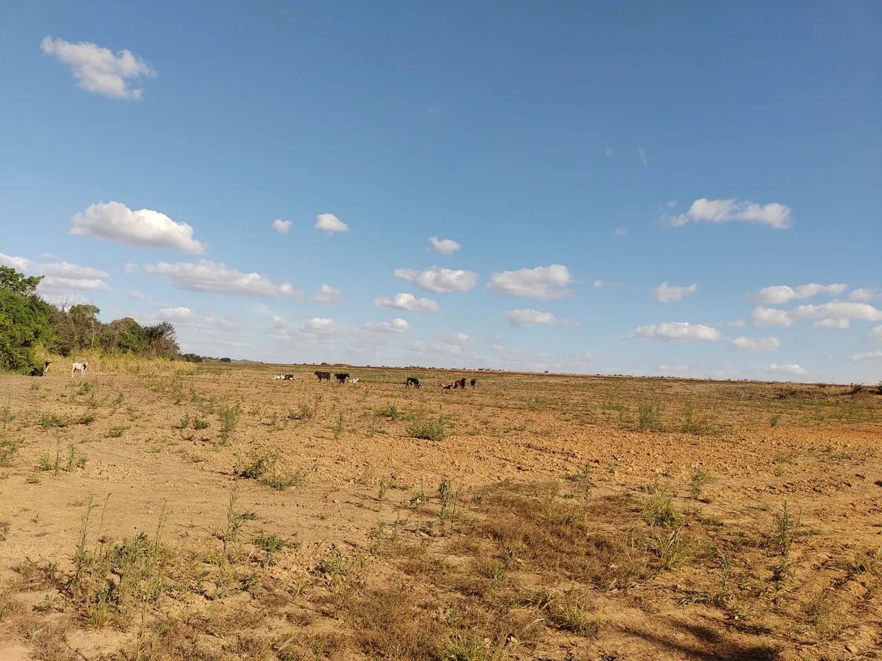 SITIO DE CHAPADA - 26 HECTARES COM 1.000M ALTITUDE