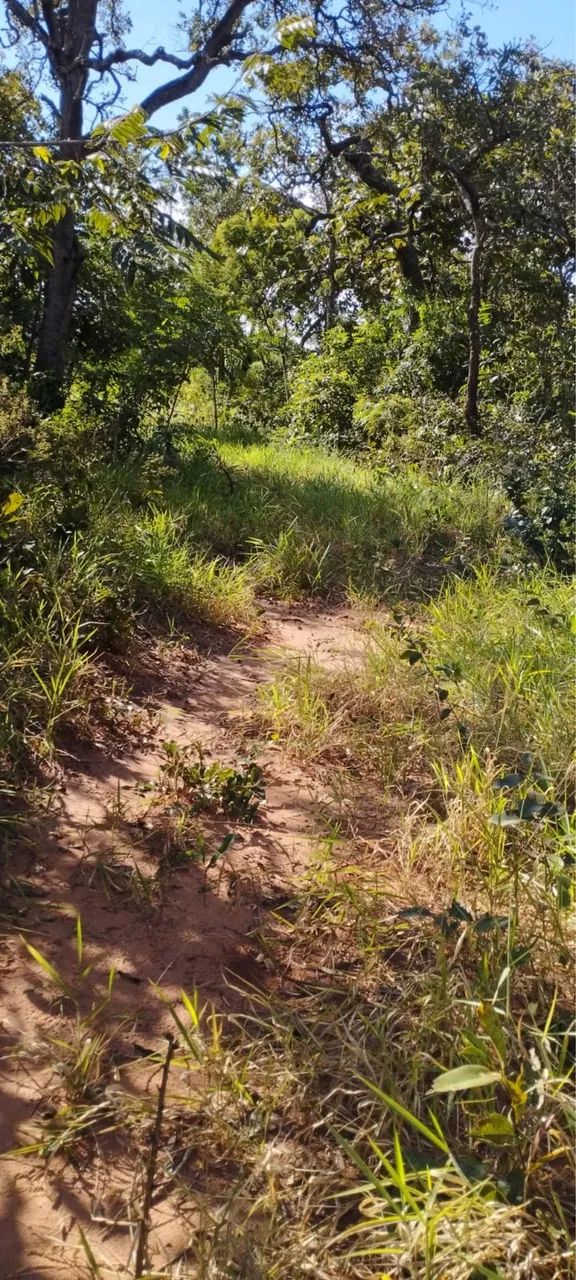 Oportunidade - Foto 4